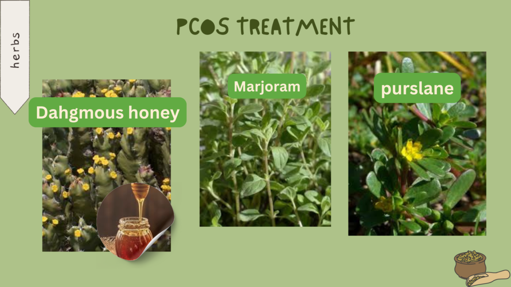 The Magic Cure for PCOS: From Symptoms to Treatment